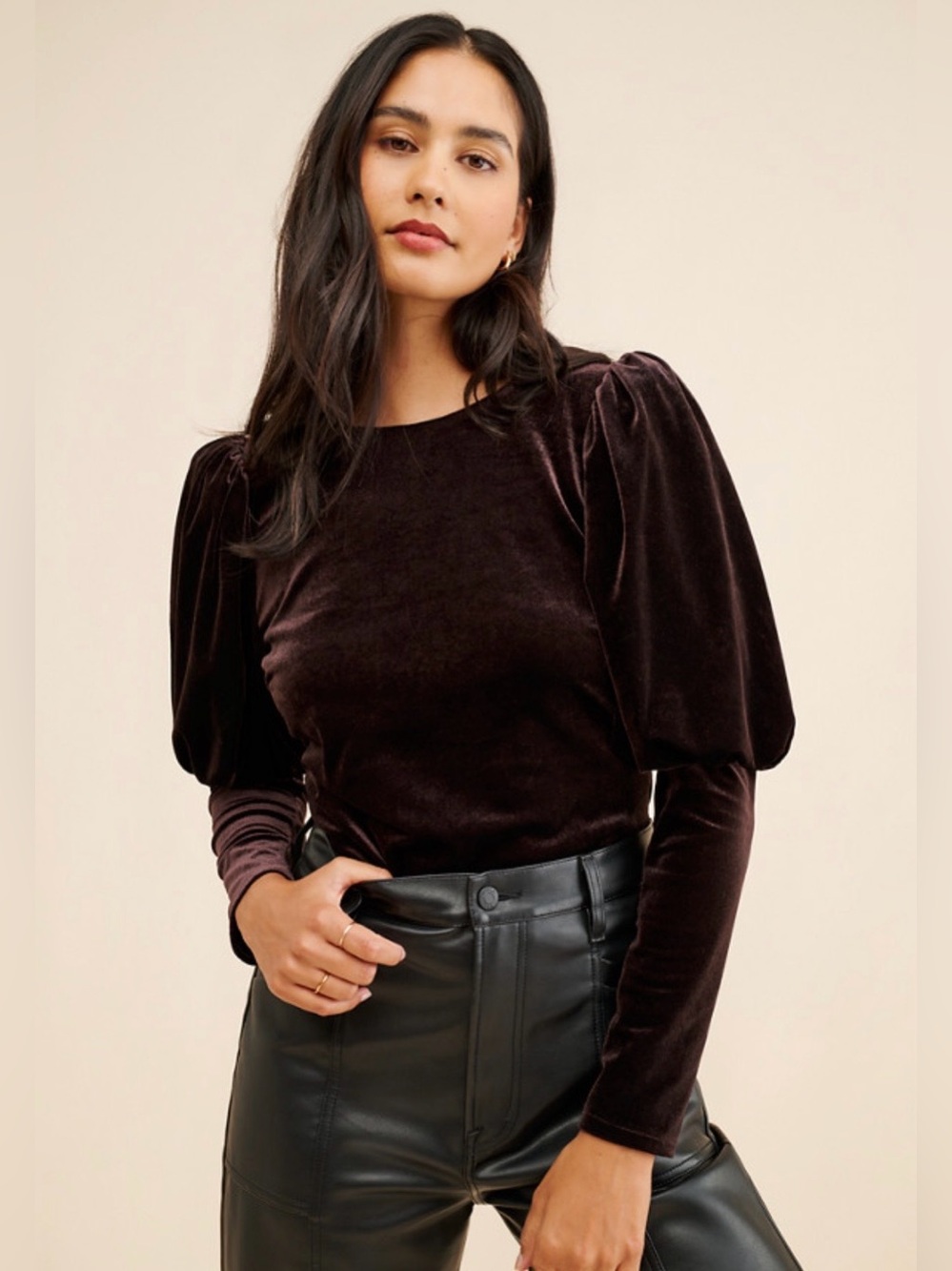 SUNDAY IN BROOKLYN Anthropologie Brown Velvet Puff Sleeve Top L